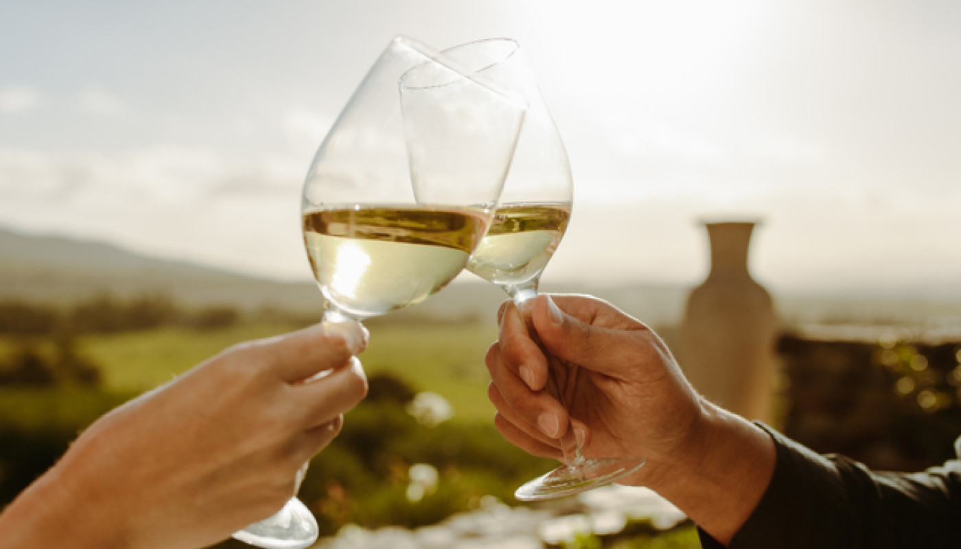 Tout savoir sur le cépage du Chablis !